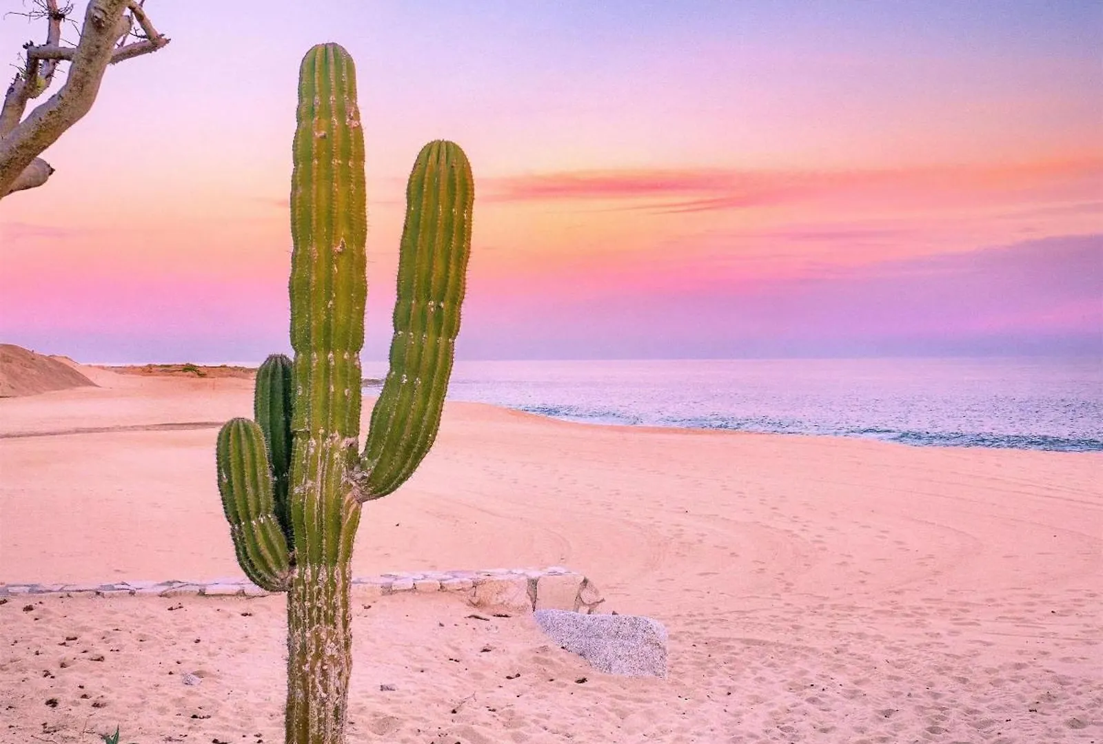 **** Hotel Park Hyatt Los Cabos At Cabo Del Sol Cabo San Lucas Mexico